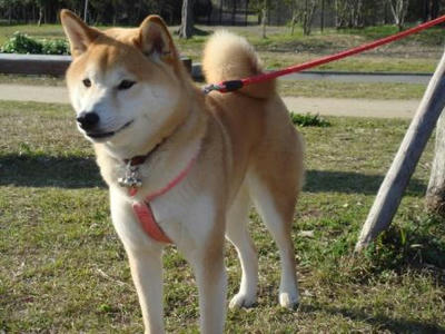 こうたろうです。