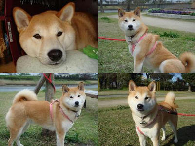 いろんな表情です。