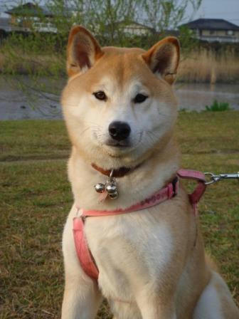 自称？男前の幸太郎です！