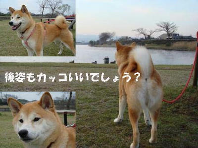 後姿もジックリ見てください！