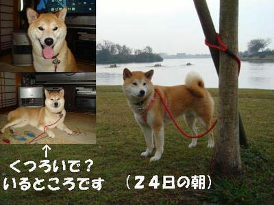 僕がこの家の主？です！
