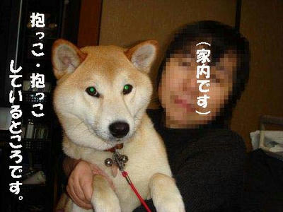 甘えん坊の幸太郎です！