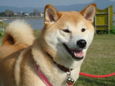 時々（偶然？）素敵な笑顔が撮れます！