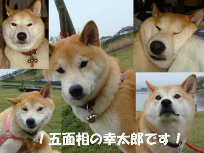 いろんな表情の幸太郎です！