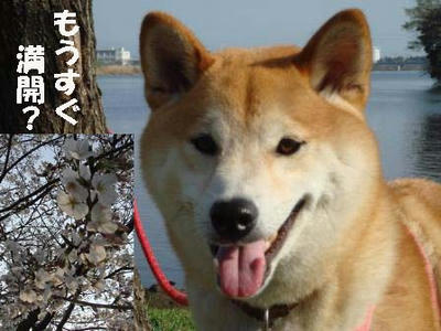 暖かい日が続きます！