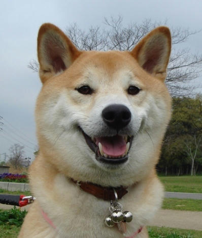 僕、幸太郎です！