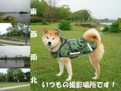 一日中・・・雨でした！