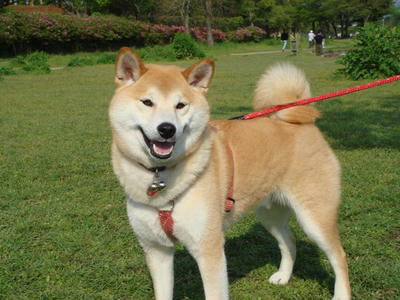 今までで最高の笑顔？です！