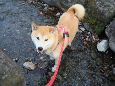 水と戯れる幸太郎！