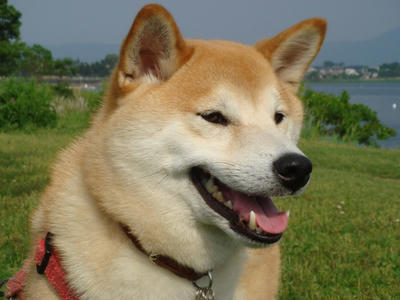 明るい？幸太郎です！
