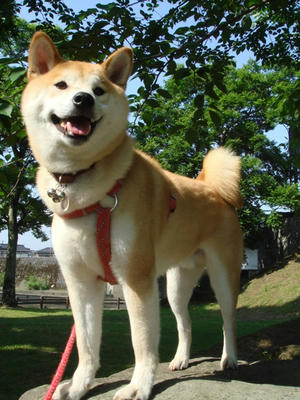得意そうな幸太郎です！