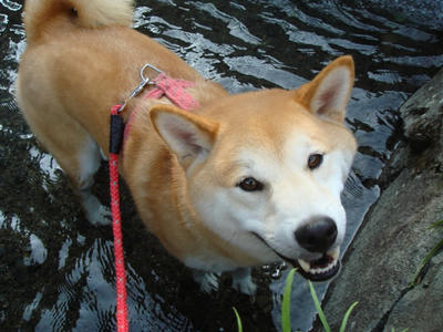 気持ち良さそうな幸太郎です！