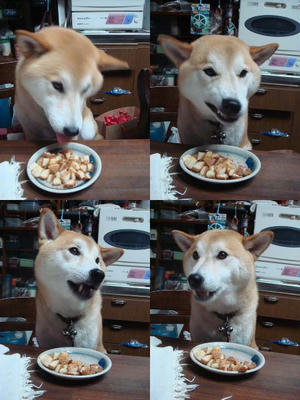 パン食の幸太郎です！