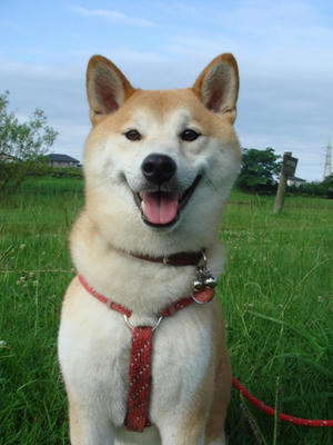 最高です！幸太郎！