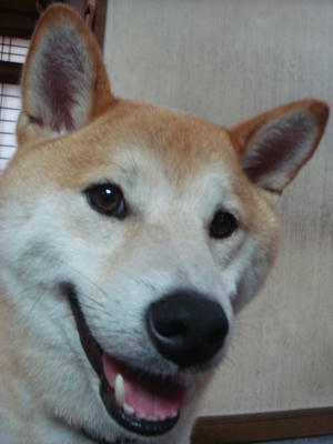 可愛い幸太郎です！