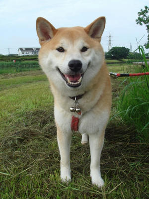 5日の幸太郎です！