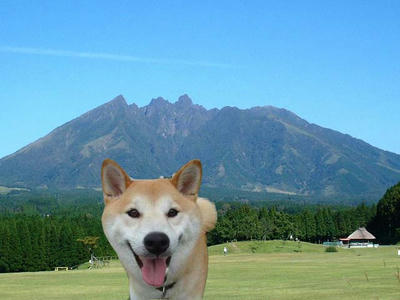 合成写真です！
