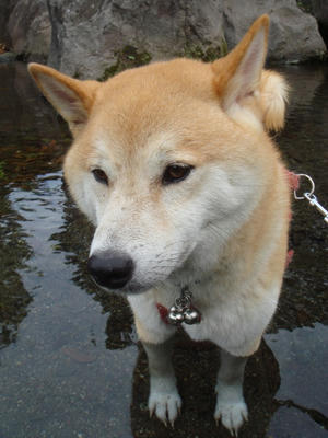気持ちイイ！