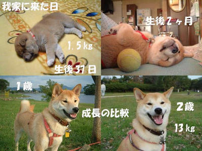 こんなときもありました！