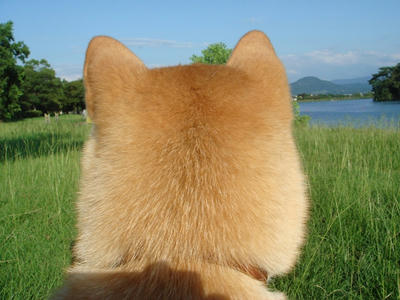 何を思う？