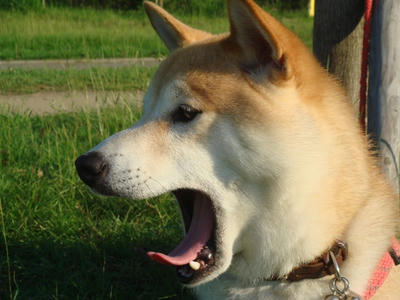 ワァッ！驚いた！！