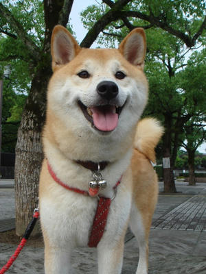 待受画面です！