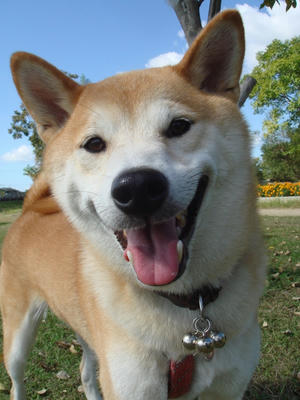 最高の？笑顔です！