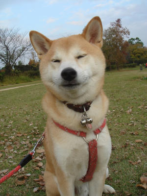 ほのぼのこうたろうです！