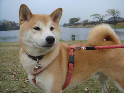 ハンサムなこうたろうです！