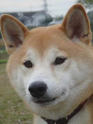 哲学者？こうたろうです！