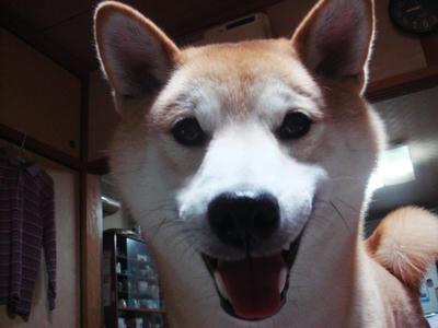 遊ぼうよ！の笑顔です。
