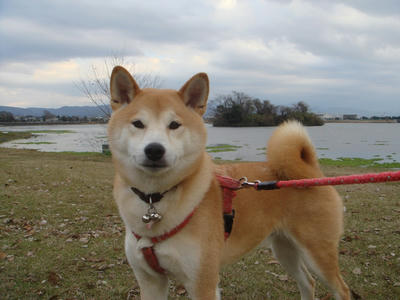 曇りの日が続きます！
