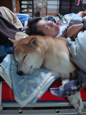 ２人仲良し！