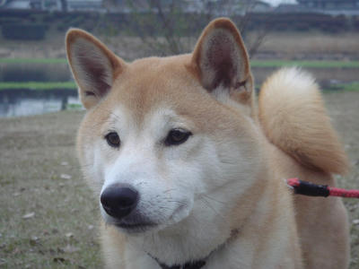 ハンサムこうたろうです！