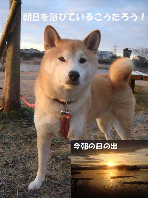 気持ち良さそうなこうたろうです！