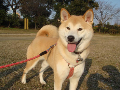 本年の第1号です！