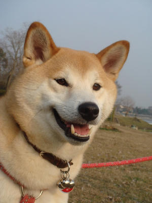 お得意の角度？です！