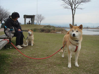 親子です！