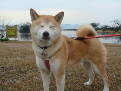 惜しかった！！
