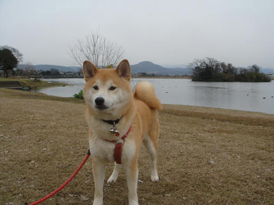 雨のち曇り！