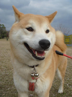 何が？嬉しいのか？