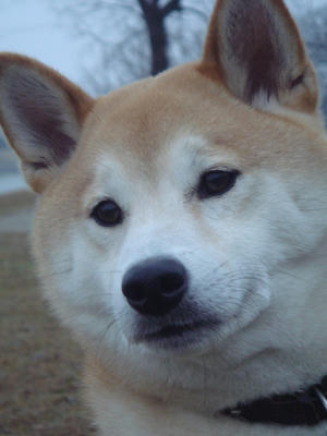 お父さん！なぁーに？
