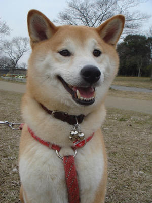 可愛いこうたろうです！