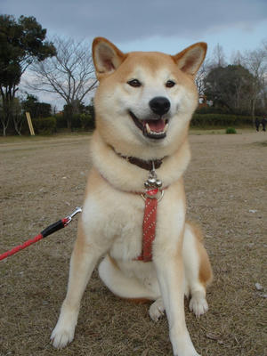 どんだけぇー！！