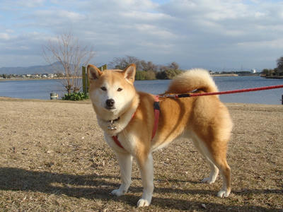 風が強いです！