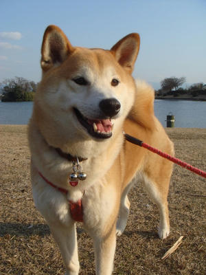 笑顔のこうたろうです！