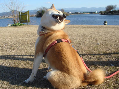 天気がイイなぁ！