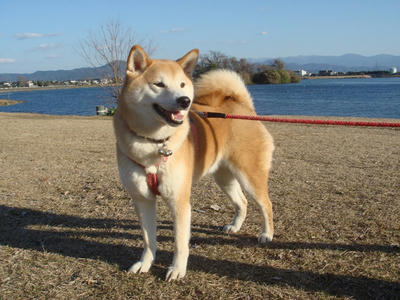 いい笑顔です！