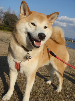 もう春ですね？