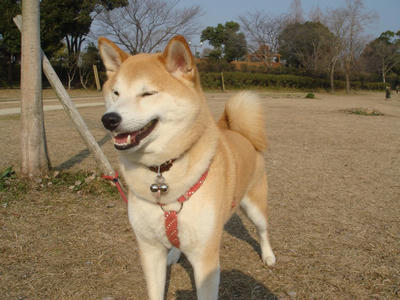 大喜びです！